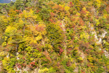 Similar image 13145372