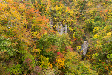 Similar image 13145407