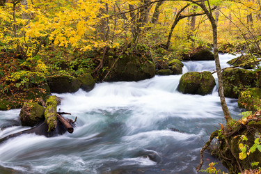 Similar image 13147743