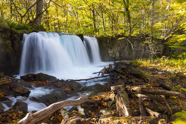 Similar image 13147821