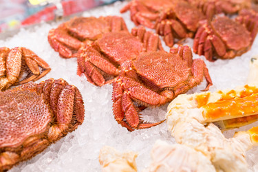 Similar image 13147898