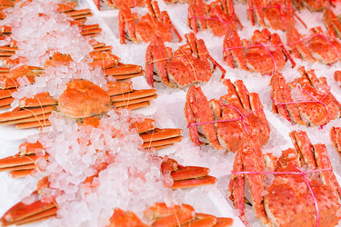 Similar image 13147916