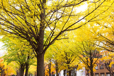 Similar image 13148572