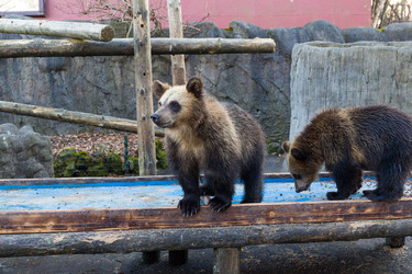 Similar image 13148893