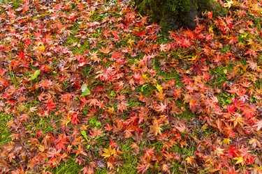 Similar image 13145393