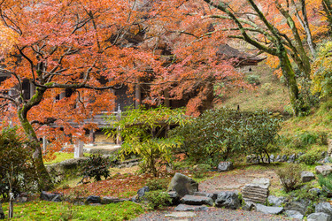 Similar image 13145471