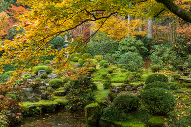 Similar image 13146756