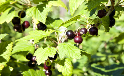 Similar image 13144344