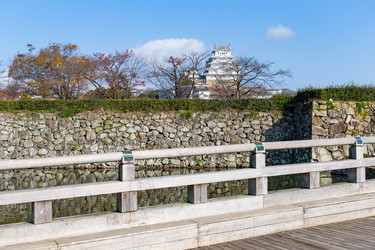 Similar image 13147726