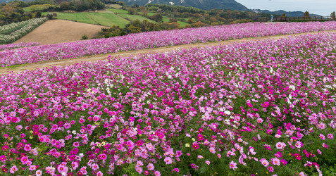 Similar image 13147744