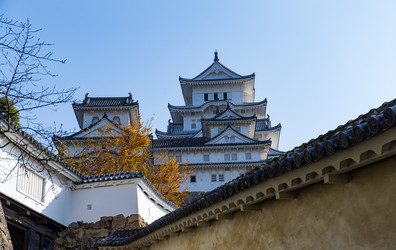 Similar image 13147861