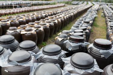 Similar image 13145395