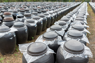 Similar image 13145413