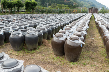 Similar image 13145429