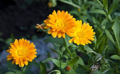 Similar image 13144346