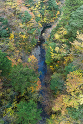 Similar image 13148340