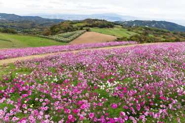 Similar image 13148876