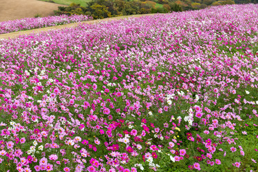 Similar image 13148977