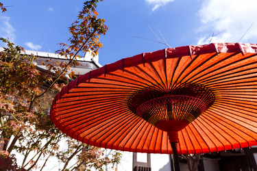 Similar image 13147864