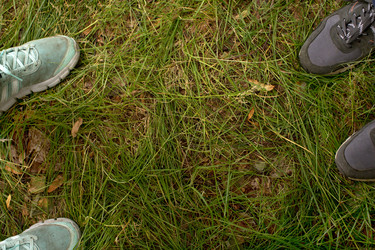 Similar image 13140375