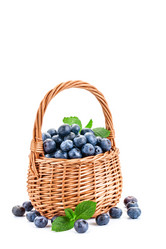 Similar image 13142694