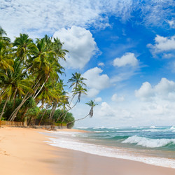 Similar image 13146884