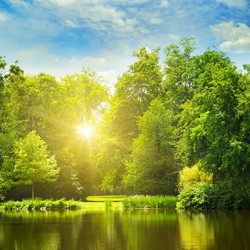 Similar image 13146891