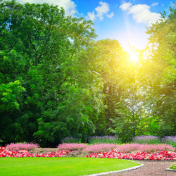 Similar image 13146896