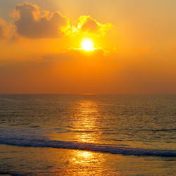 Similar image 13146899