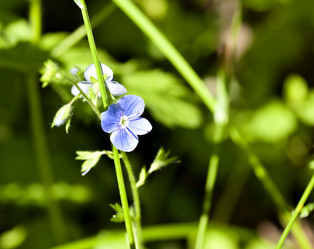 Similar image 13144098