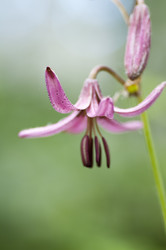 Similar image 13144099