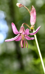 Similar image 13144100