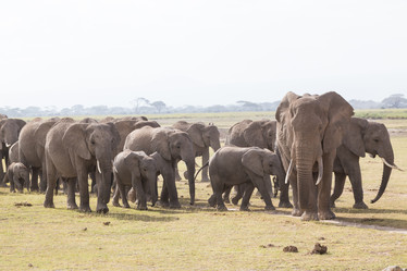 Similar image 13144477