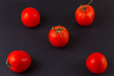 Similar image 13143553