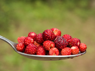 Similar image 13146790