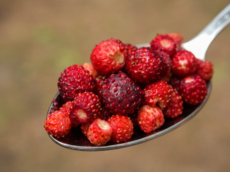 Similar image 13146791