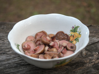 Similar image 13146792