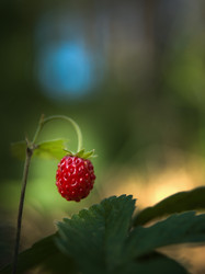 Similar image 13146793