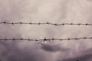 Similar image 13142436