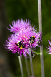 Similar image 13142437