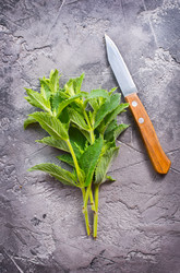 Similar image 13142919