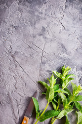 Similar image 13142920