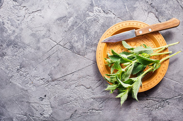 Similar image 13142922