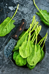 Similar image 13142952