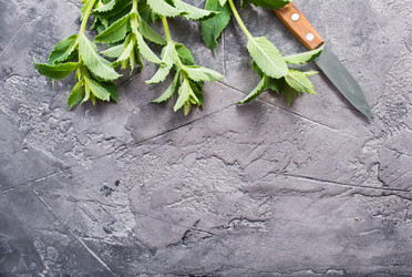 Similar image 13143025