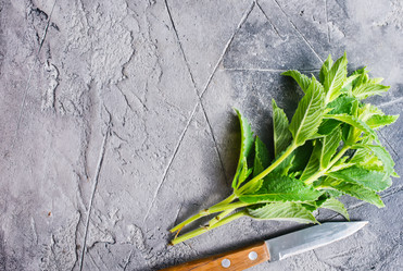 Similar image 13143026