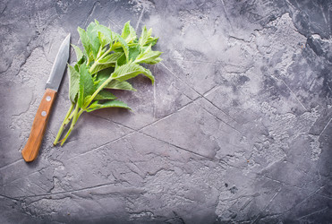 Similar image 13143027