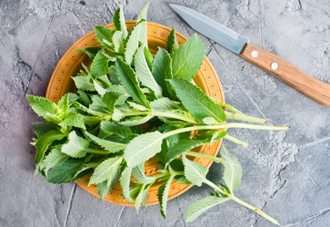 Similar image 13143029