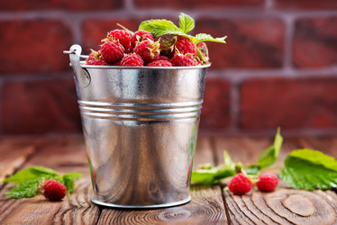 Similar image 13143030