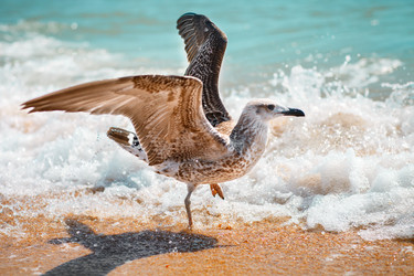 Similar image 13143005